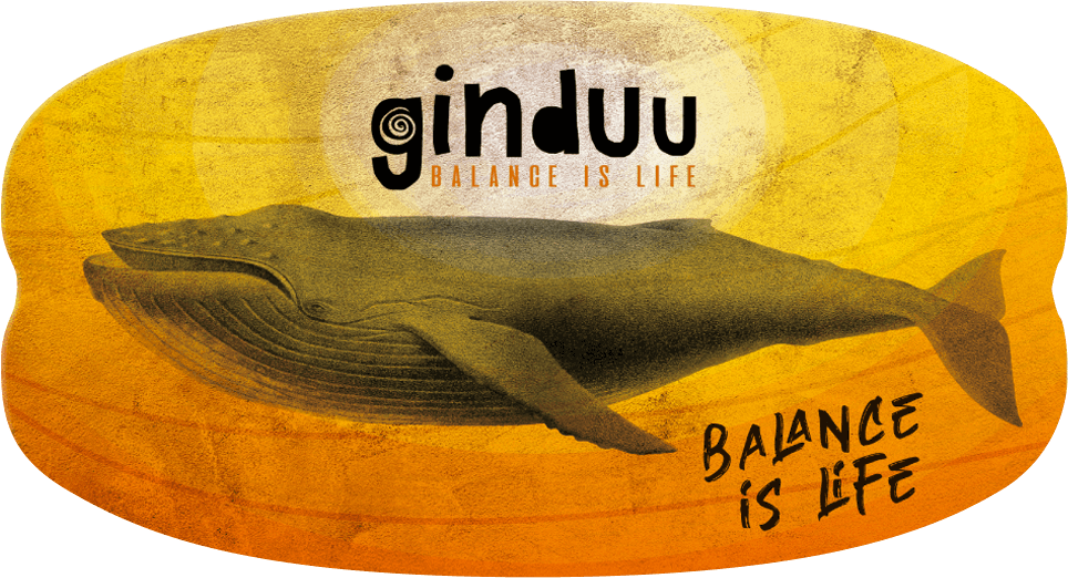 Board - Sun and Whale